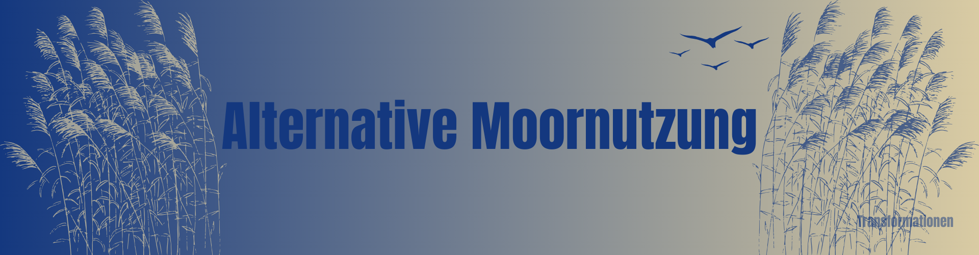 Alternative Moornutzung Banner